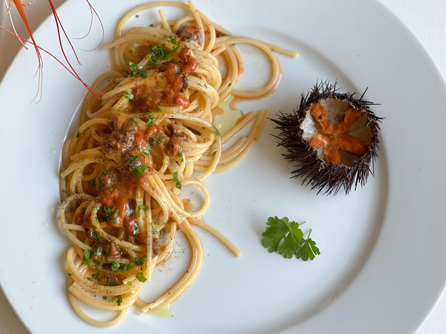 Spaghetti ai ricci di mare con guscio di riccio